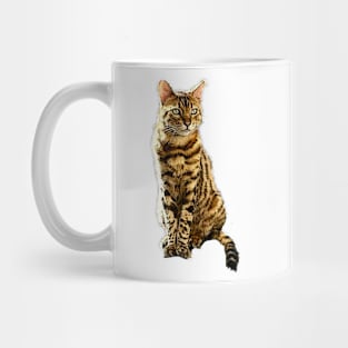 Bengal Cat (male) Mug